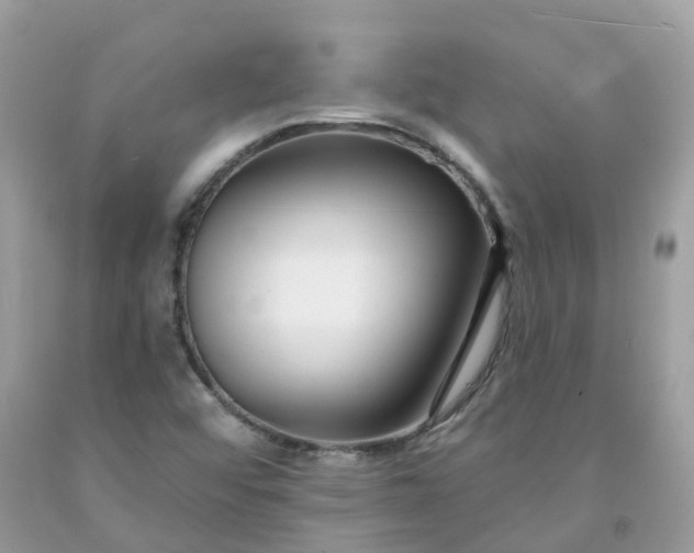 X0000091671456200709061032