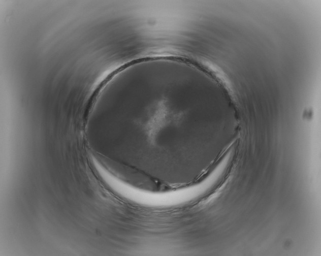 X0000091671457200709061032