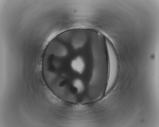X0000091671459200709061032