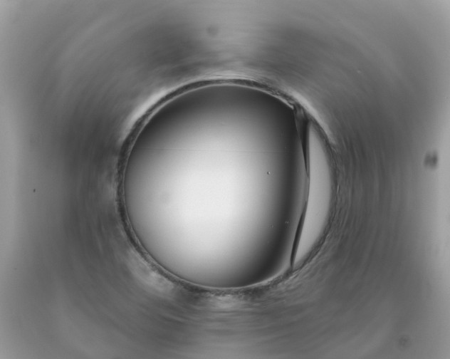 X0000091671460200709061032