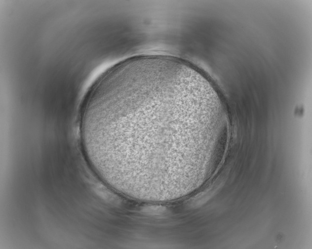 X0000091671462200709061032