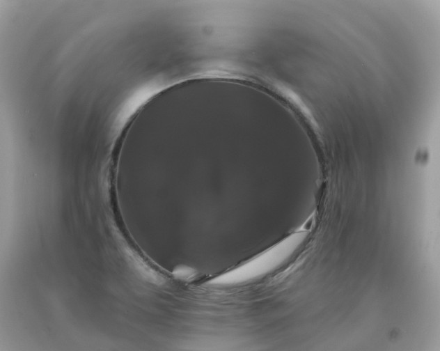 X0000091671463200709061032