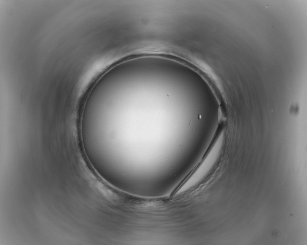 X0000091671464200709061032