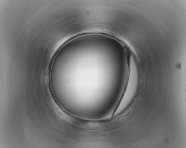 X0000091671468200709061032