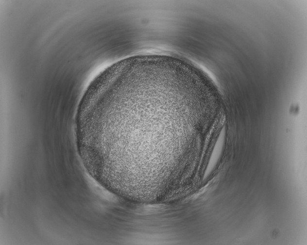 X0000091671471200709061032