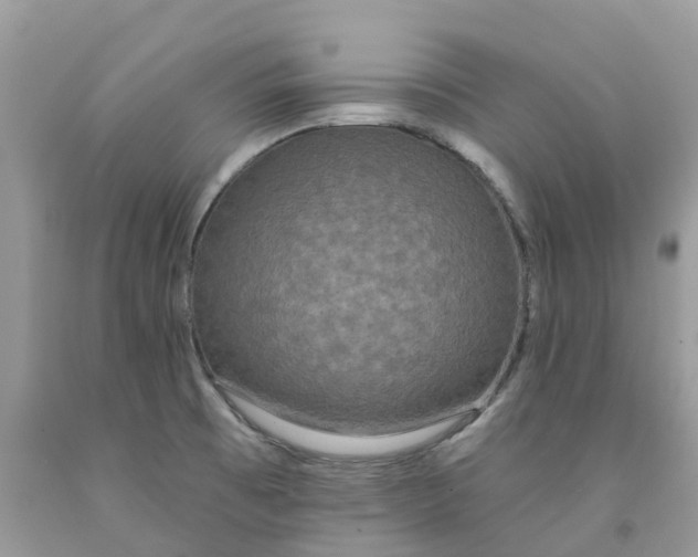 X0000091671473200709061032