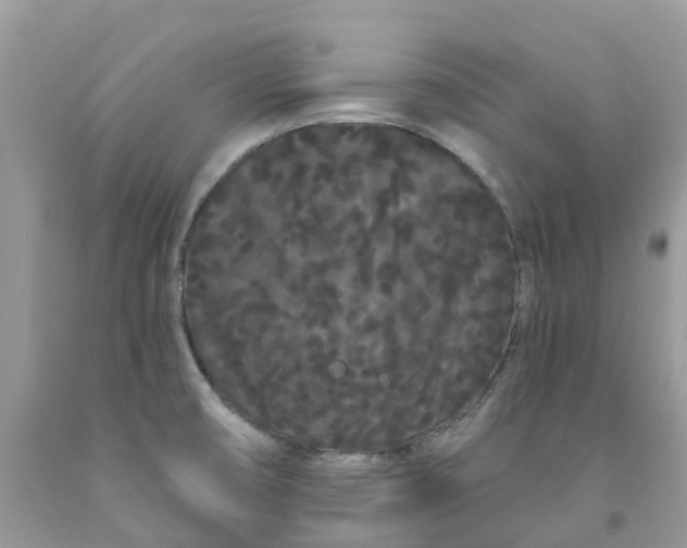 X0000091671474200709061032