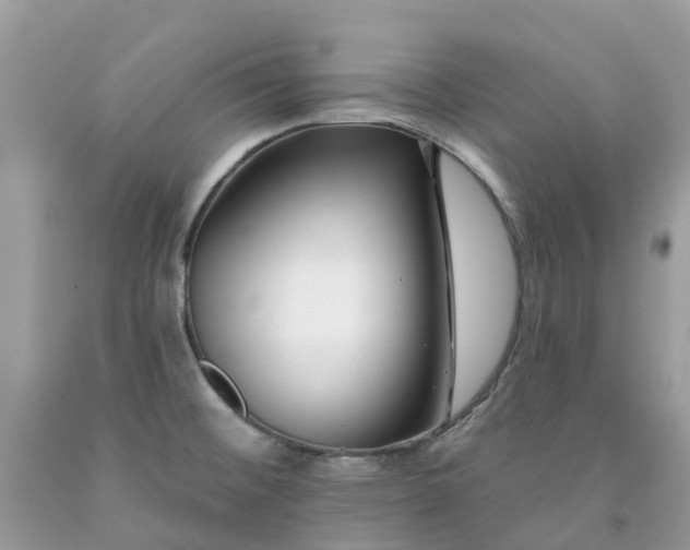 X0000091671476200709061032