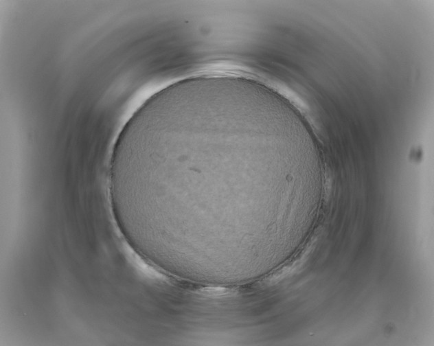 X0000091671478200709061032