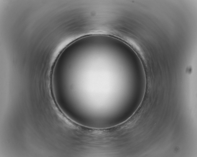 X0000091671480200709061032