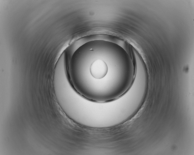 X0000091671481200709061032