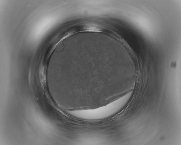 X0000091671487200709061032
