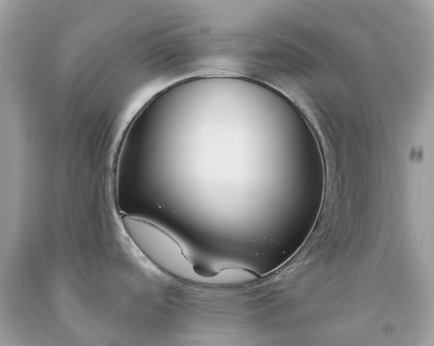 X0000091671488200709061032