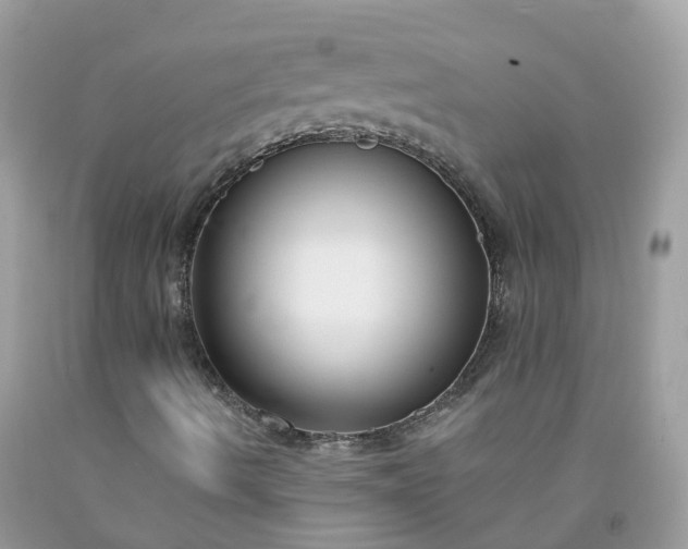 X0000091671490200709061031