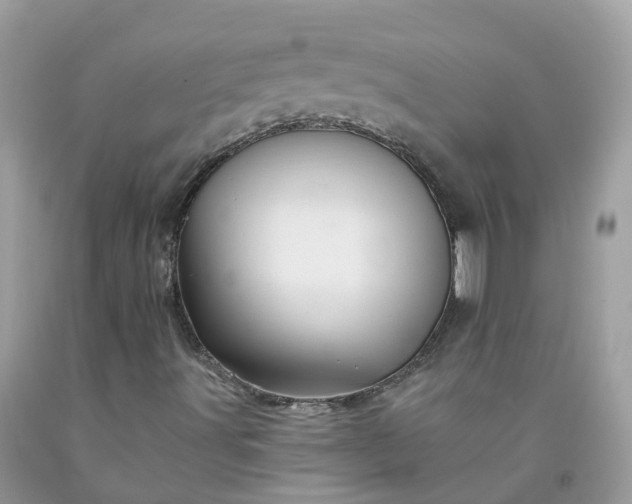 X0000091671491200709061031