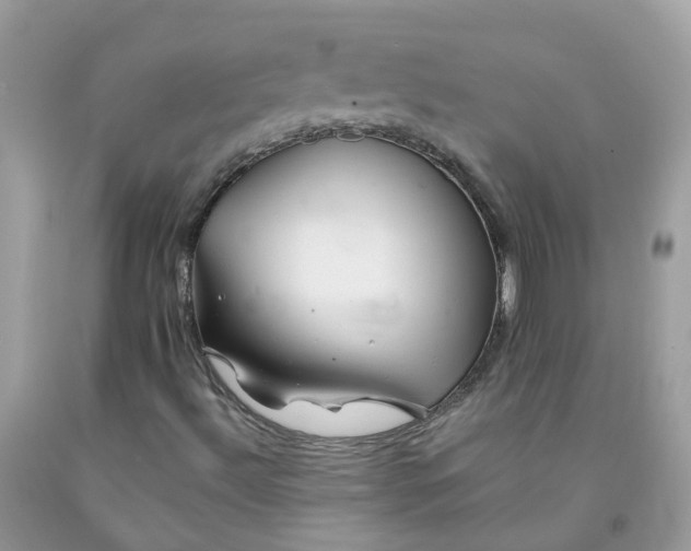 X0000091671492200709061031