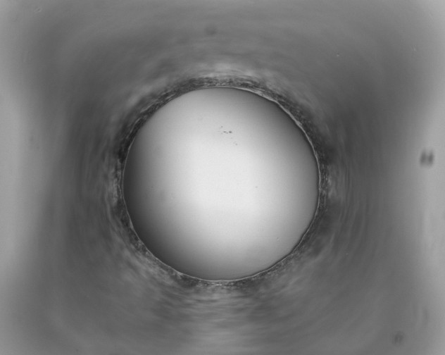 X0000091671493200709061031