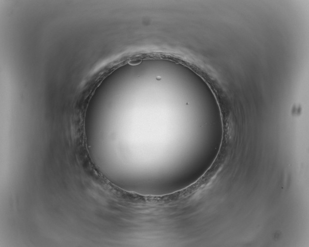 X0000091671494200709061031