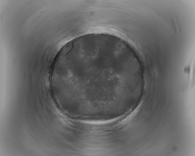 X0000091671497200709061031