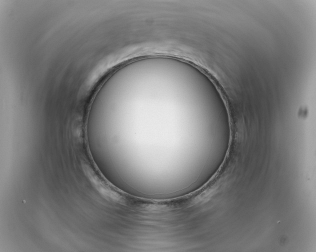 X0000091671499200709061031