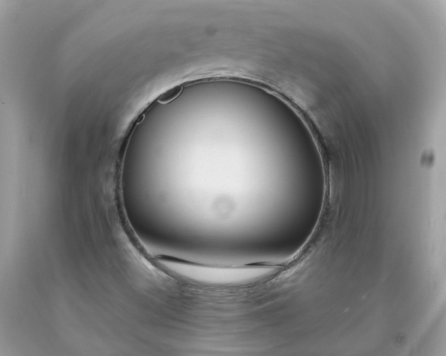X0000091671500200709061031