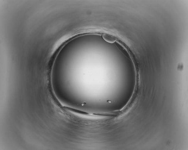 X0000091671501200709061031