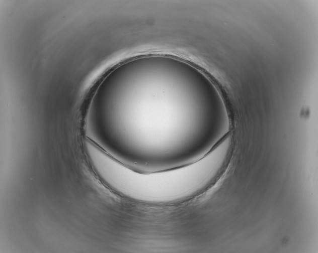 X0000091671502200709061031