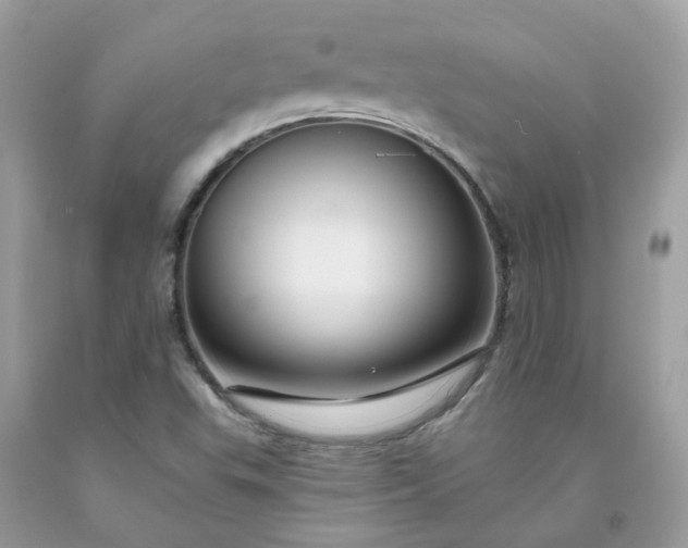X0000091671503200709061031