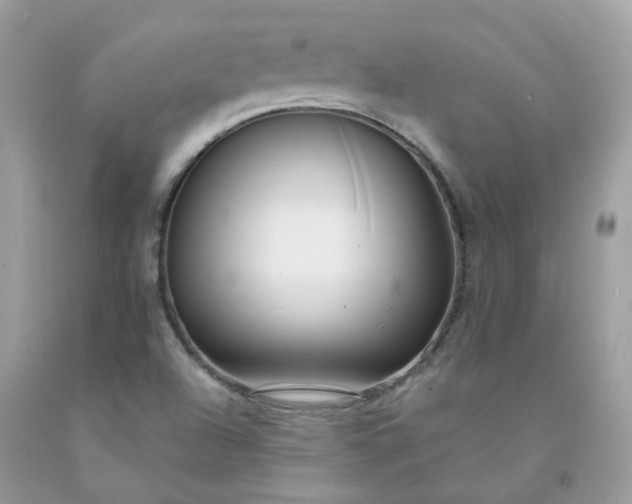 X0000091671504200709061031