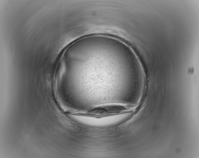 X0000091671505200709061031