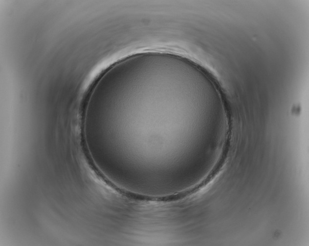 X0000091671506200709061031