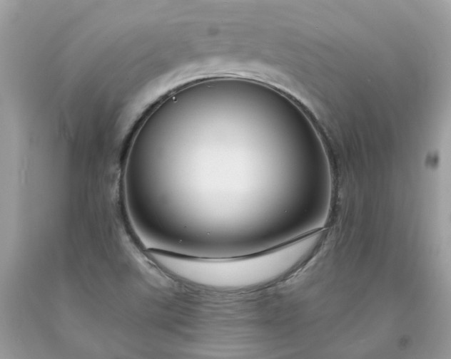 X0000091671507200709061031