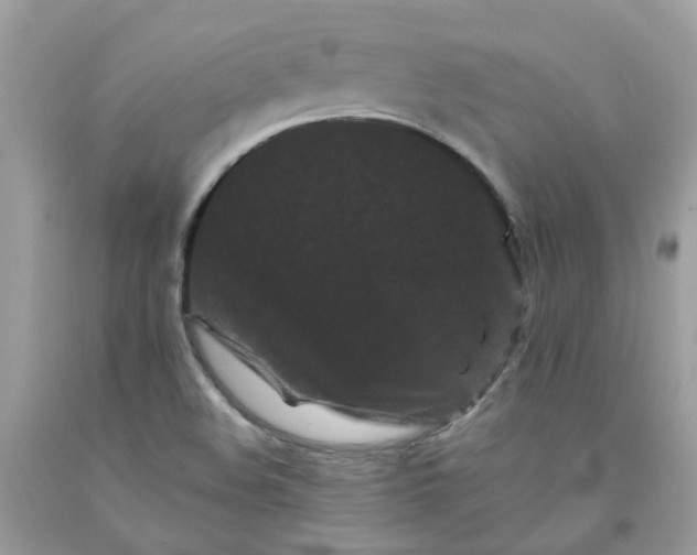 X0000091671508200709061031