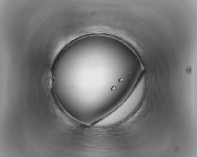 X0000091671509200709061031