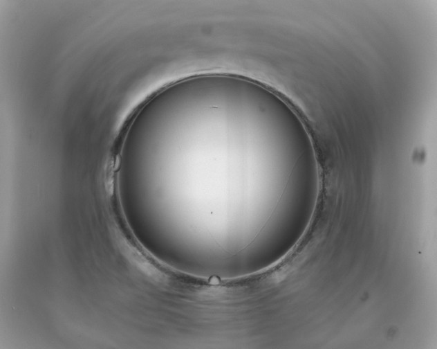 X0000091671510200709061031