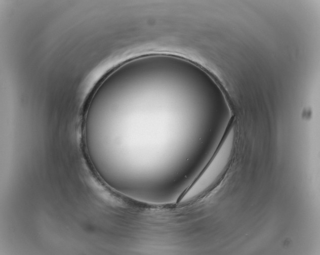 X0000091671511200709061031