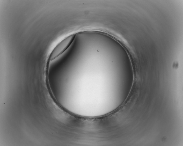 X0000091671512200709061031