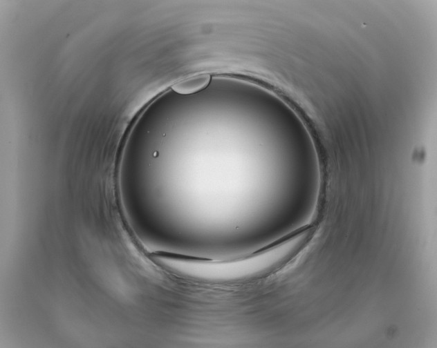 X0000091671513200709061031