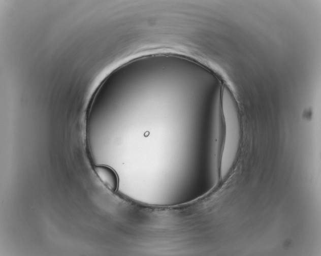 X0000091671516200709061031