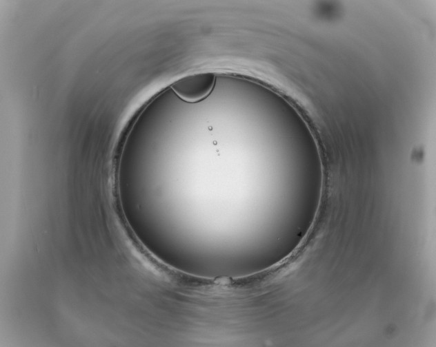 X0000091671517200709061031