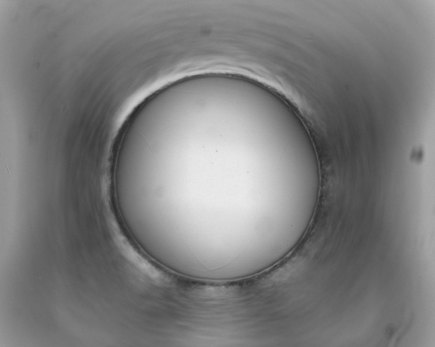 X0000091671518200709061031