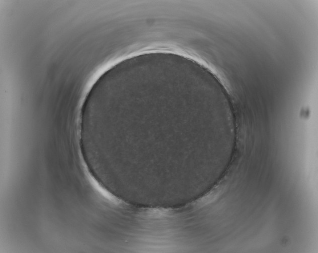 X0000091671519200709061031