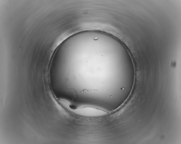 X0000091671521200709061031
