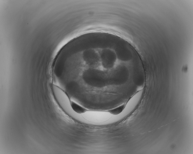 X0000091671522200709061031
