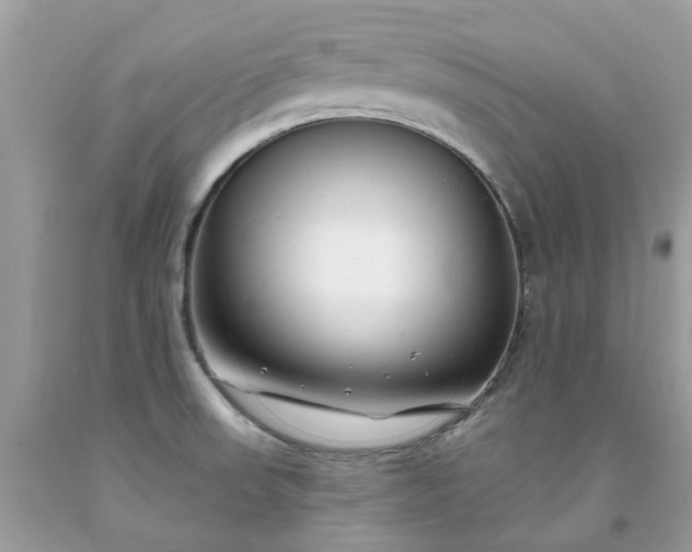 X0000091671523200709061031