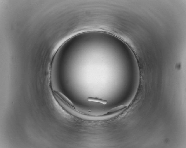 X0000091671524200709061031