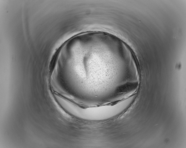X0000091671525200709061031