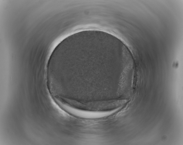 X0000091671527200709061032
