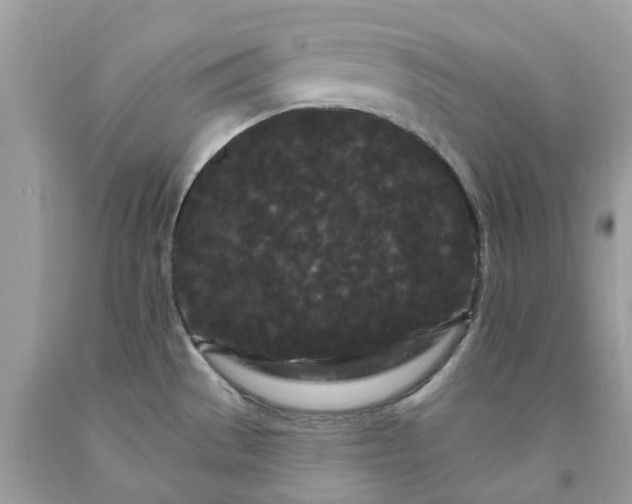 X0000091671529200709061032