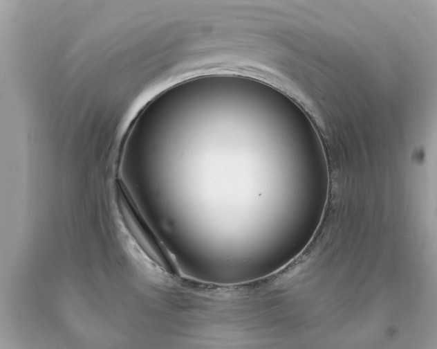 X0000091671530200709061032